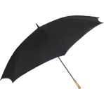 Guarda-chuva